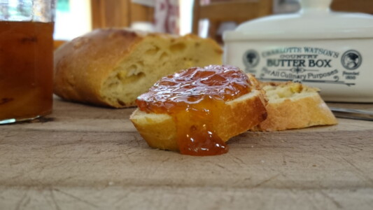 Homemade apricot and vanilla jam