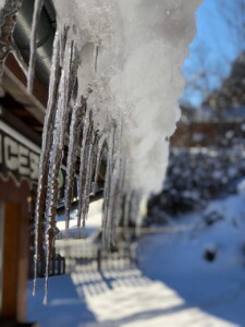 In the grip of winter...