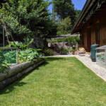 The garden in summer