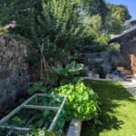 Summer vegetables