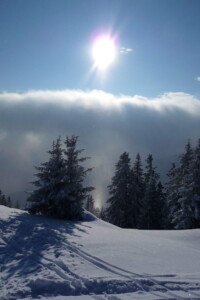 Fresh snow in the Portes du Soleil
